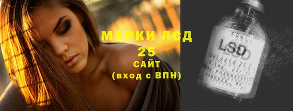 крисы Козловка