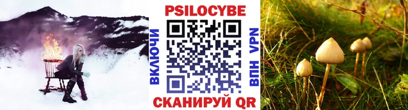 Купить закладки  Бежецк  Галлюциногенные грибы MAGIC MUSHROOMS 